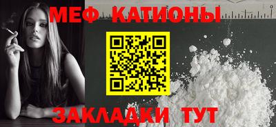 индика Гатчина