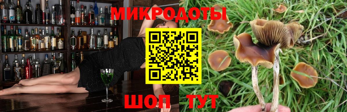 Псилоцибиновые грибы мухоморы  Вход с VPN  Дубна  Галлюциногенные грибы мицелий 